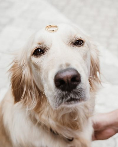 tsatsa.weddings_1750098480_3656413528525885505_73488093284