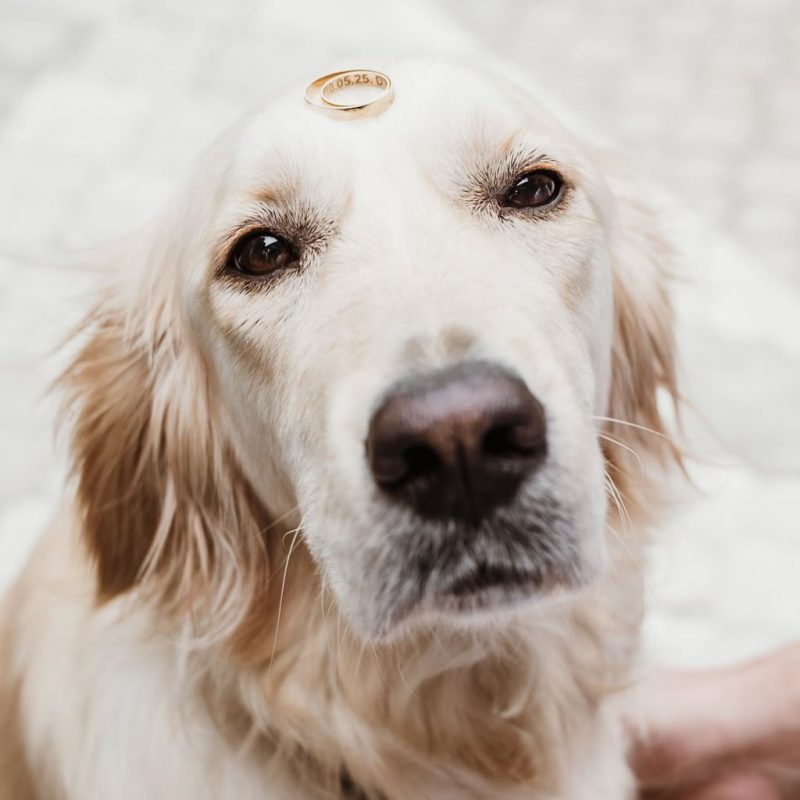 tsatsa.weddings_1750098480_3656413528525885505_73488093284